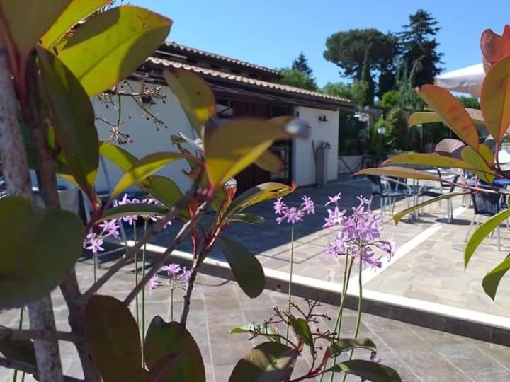 Borgo Nicoletta Case Per Le Vacanze Filandari Eksteriør billede